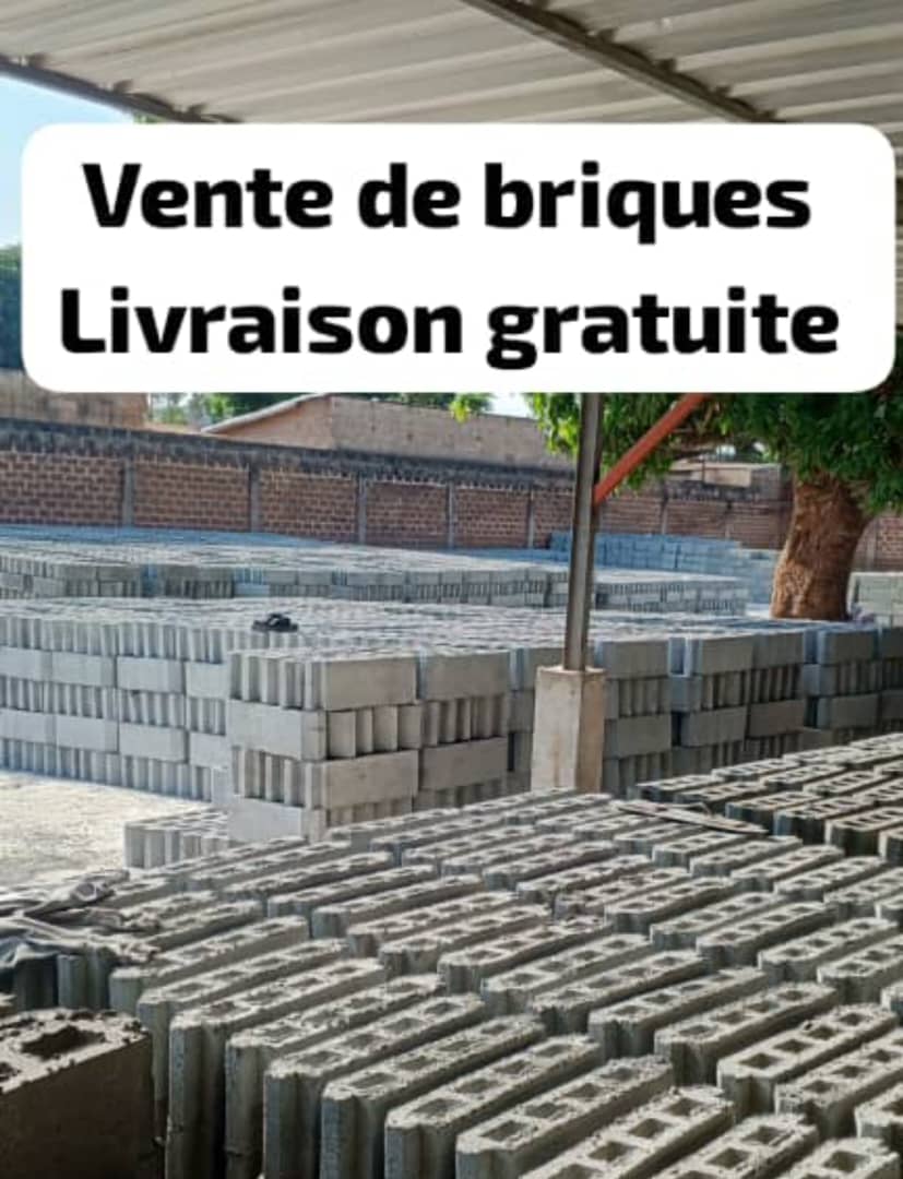 BRIQUE DE 15 CREUX